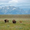 Day 2 - Gros Ventre
